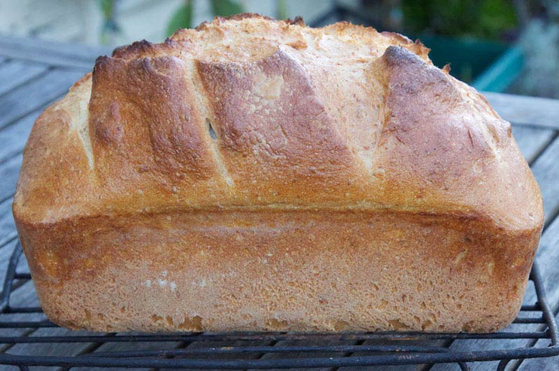 Food Wiki : What is Wholemeal Bread?
