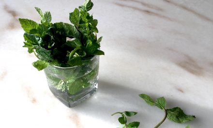 How To Store Mint With These 2 Easy Methods