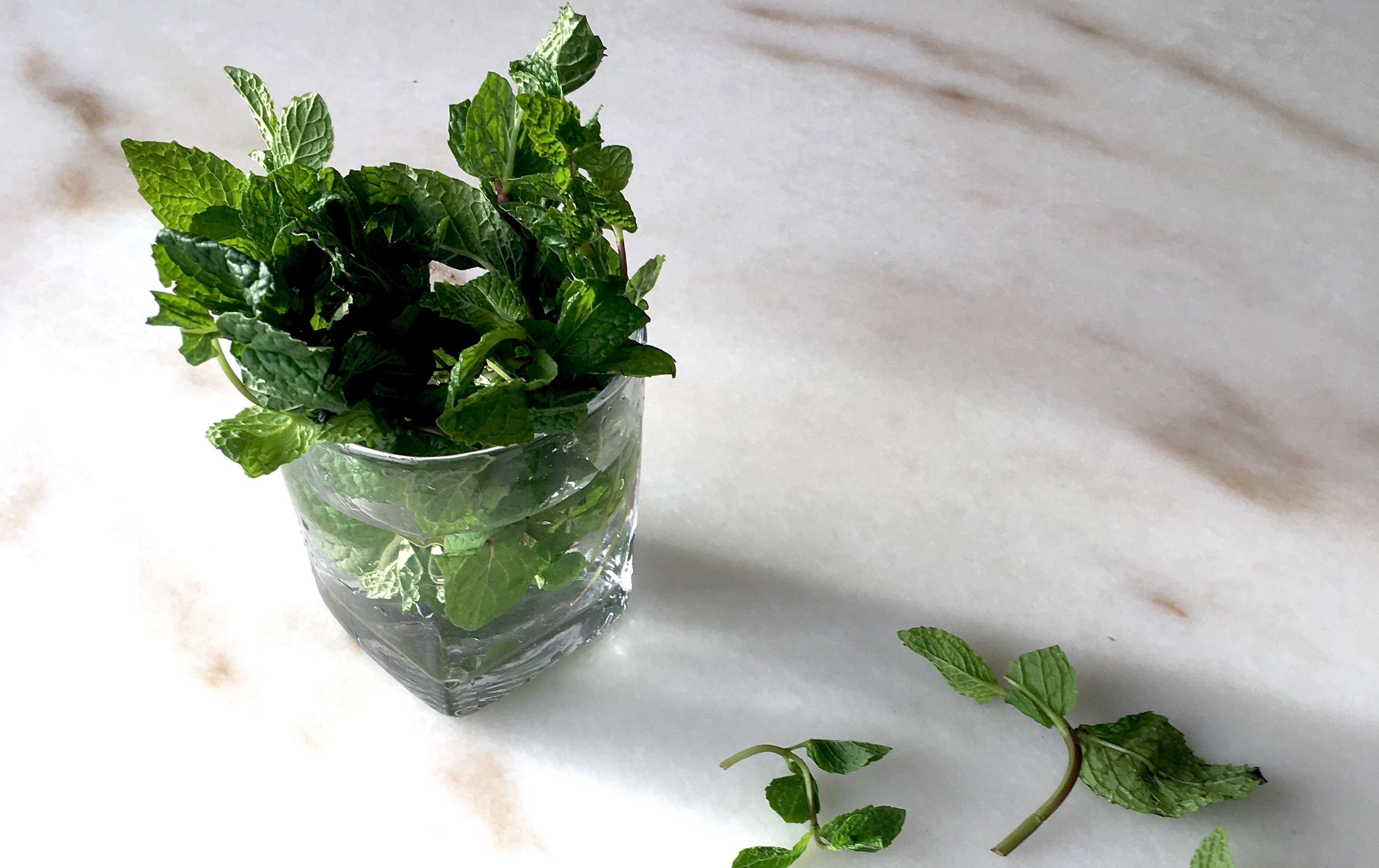 How to Store Mint Leaves (2 Ways)