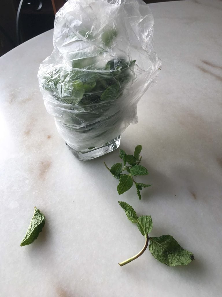 glass of water with herbs covered in plastic